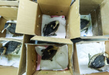 9505de41-0268-4707-ba90-29cb54c5a86d-67ceccd5