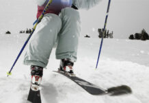 Лыжный спорт превращает зиму в источник здоровья 99f70ce3-f5ae-4a4e-b2c4-270df63dd56e-67e47918