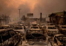 Героическая борьба с природной стихией в Калифорнии: спасатели противостоят лесным пожарам 9df3b0ea-4309-4de7-88e3-f54df85aee91-67d3f5eb