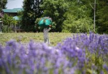 Башкирия запустила первый официальный реестр специалистов народной медицины 9f8570ae-503e-4a13-b346-005ef75dd9ce-67ea57a4