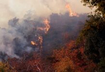 Масштабная борьба с природной стихией в Калифорнии adee72b6-4ae3-4b35-b871-38b842d54f7b-67d6866c