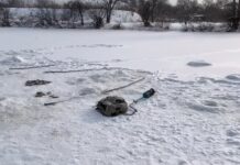 В Приморье завершилась операция по обезвреживанию опасного тигра aeb3e671-3387-4c24-a754-c9b648674c37-67db2a7b