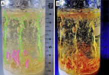 Невероятный эксперимент ученых раскрыл тайны марсианских кратеров b5dd637d-371f-4eca-ab62-e6998dbef5dd-67ed4cd2