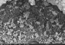 Уникальные компоненты земных озер обнаружены в пробах космического гостя b81a1ebb-47df-428e-b6bf-8559033219b5-67ed944a