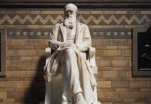 Экологические активисты привлекли внимание к проблеме глобального потепления в Вестминстерском аббатстве c0082b08-b8a5-4a8f-9128-ff13788df166-67d87afa