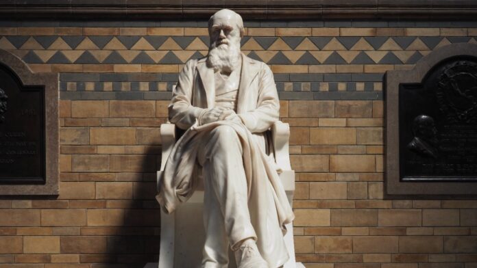 c0082b08-b8a5-4a8f-9128-ff13788df166-67d87afa