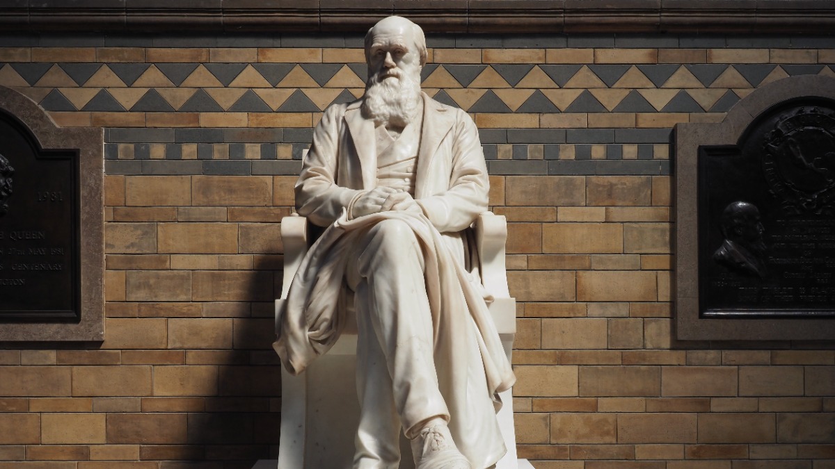 Активисты облили краской и осквернили могилу Дарвина в Лондоне