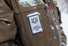 Эксперты раскрыли подробности о состоянии амурского тигра после трагического инцидента в Приморье cbdc3400-d93a-4d21-9a3d-42548b7ee816-67de8a10