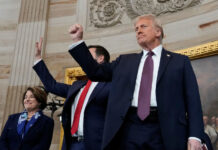 d29c267a-8439-45f5-8b78-c2058d46bb58-67e1db52