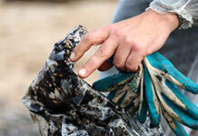 Масштабная экологическая операция на побережье Крыма продолжается d8b77911-5a3d-4f8a-a132-0976774780b8-67d8c8ef