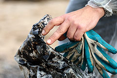 На азовском побережье Запорожской области собрали 14 т загрязненного мазутом песка
