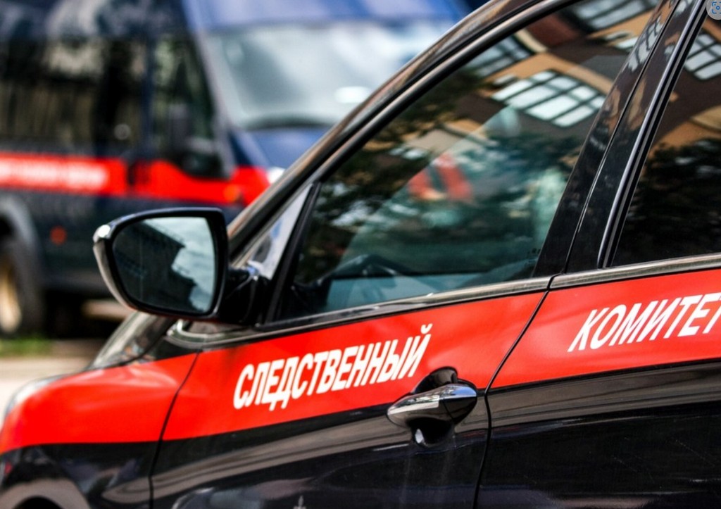 Девять регионов России проверяют по факту продажи детей за границу