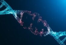 Прорыв в онкологии: Сеченовский Университет представил уникальный метод диагностики опухолей 039c9e5f-f8b1-4abb-9c01-38c242473a59-680904fc