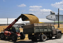 04ce11d5-5231-4802-8ff8-7549c90a0fcb-67f32f96