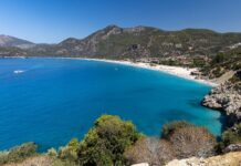 06d78c52-6338-4506-8f67-c7c9f69a29d3-67f3092e