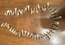 Необычная находка во время уборки в доме пожилого родственника 075f5c3c-672c-483f-8f88-da6d72df8a39-67f37a1f