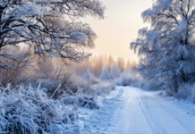 Зимние морозы порадуют жителей центральной России 1d1dbdab-03bf-4bce-a0a8-52621e126d88-67ff87db