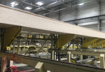 Успешная трансформация деревообрабатывающего комплекса в Тверской области 2050040a-c9b3-488d-b7ab-42e1827f36dc-67f81d95