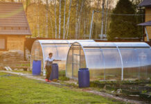 Нововведения для владельцев капитальных хозпостроек с 2025 года 372a4da4-3c5b-4df7-b817-7f5f6019ff2f-680b8999