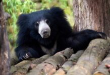 37f70c0f-c249-4ede-9ce5-59fc9a23f425-67f83fd7