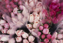 Секреты свежести как сохранить красоту букета надолго 5c705bb7-0852-4a6b-8903-0775ef005d2a-67fd5bc0