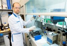 Революционное исследование поведения наночастиц в живых организмах 75297663-4632-4b20-9e23-ea2ce6a4cd82-67f4051c