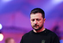 Мирошник заявил о панике Зеленского перед переговорами лидеров РФ и США 861c7f2c-e506-432c-b512-f275e8885e78-6803d6b1