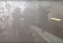 8805b671-b56f-4b64-8e9d-dbc4aee1e60d-67f31a2b