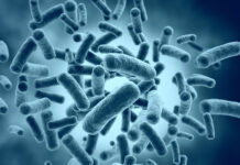 91abb53c-5546-4f4c-ba2e-7df263994775-680b7b06