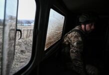 Шокирующие результаты экспертизы жертв массовых убийств в Курской области 98ae4ebb-6fb4-4b8a-8f68-6205b8df7340-67f0f370