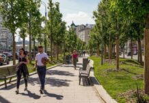 Собянин анонсировал масштабное озеленение московских магистралей до конца года 99e49695-0530-400a-a263-185f0eb98a88-680b5748