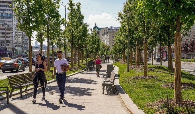 Собянин заявил, что до конца года вдоль магистралей высадят 4 тысячи деревьев