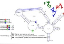 9b12515b-97dc-40ca-9ed5-a4f4f3134a2c-67f6e54d