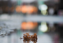 Москвичей ждет долгожданное потепление Теплая погода 17 января в Москве