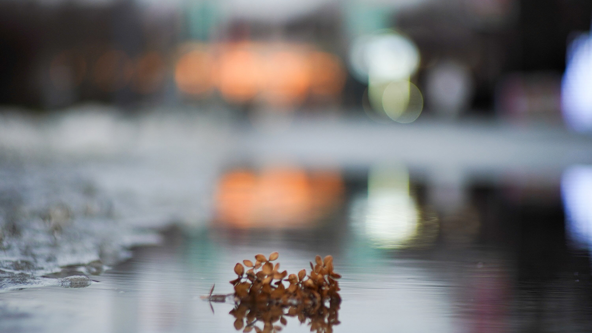 Когда в Москве потеплеет: февраль-2025