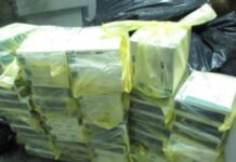 Бдительность таможни предотвратила провоз крупной партии «Оземпика» b5a77258-c8b5-475c-bda4-0edbcd852878-68082beb