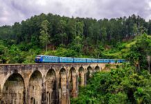 Трагический инцидент на живописной железной дороге Шри-Ланки be02a38d-9bdb-497d-b8f7-f672b9bb06c5-680a0ea9
