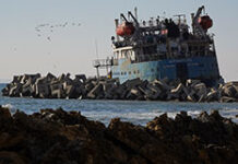 c6cece58-990c-4921-9588-431d24a263d6-6801295d