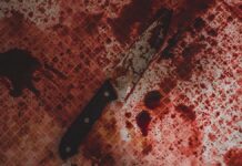 Эксперты установят личность преступника благодаря современным методам криминалистики ca690b02-9a29-47c2-874b-8343d5e53593-680a4d68