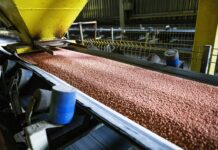 Российские удобрения продолжают успешные поставки в США d18e5121-e575-444d-bca7-d0cffbe9b50e-67fa4b05