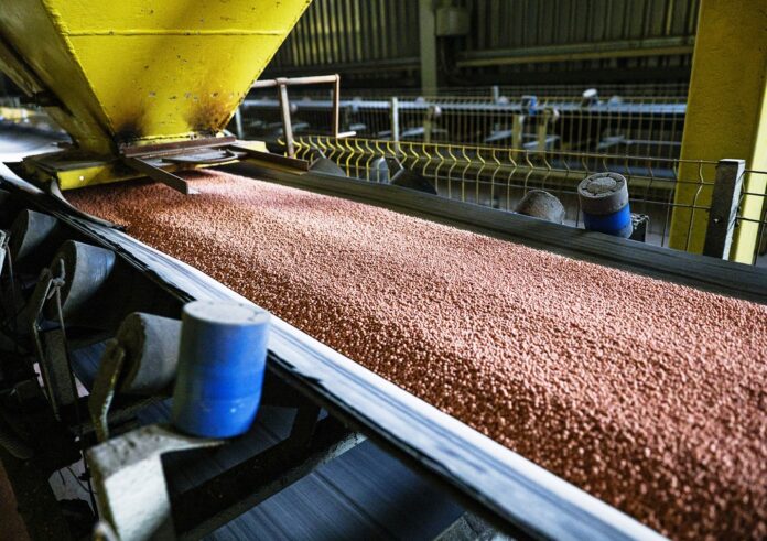 d18e5121-e575-444d-bca7-d0cffbe9b50e-67fa4b05