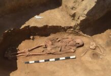 Исследование древнего погребения раскрывает тайны миграций народов Востока d77bb914-81be-4752-8892-3f04b5c11bac-67f5773d