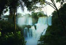 Древний союз человечества и тропических лесов drevnij soyuz chelovechestva i tropicheskih lesov-todey-ru-174069901000-0