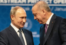 erdogan nastojchivo zovet putina v turcziyu matvienko raskryla detali-todey-ru-174071317700-0