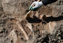 В Херсонской области найдены останки мирных жителей времен войны fe22b529-7e81-47e9-bd8c-33248a943c81-67f7a17c