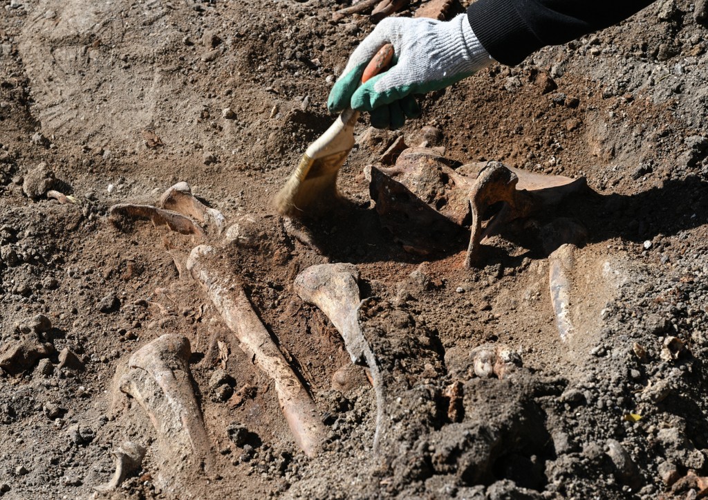 Останки почти 300 человек обнаружили в Херсонской области