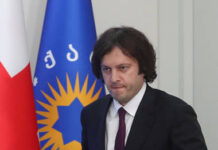 Грузинская мечта создаёт правовые инновации gruzinskaya mechta sozdayot pravovye innovaczii-todey-ru-174061996400-0