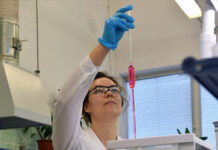 Калию подбирают квоту kaliyu podbirayut kvotu-todey-ru-174044082600-0