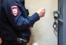 МВД сообщило о результатах борьбы с пропагандой нацизма в 2024 году mvd soobshhilo o rezultatah borby s propagandoj naczizma v 2024 godu-todey-ru-174049972500-0