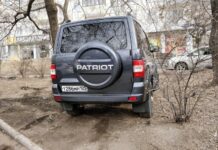 Новая система следит за сохранностью зелёных зон Владивостока novaya sistema sledit za sohrannostyu zelyonyh zon vladivostoka-todey-ru-174066602900-0